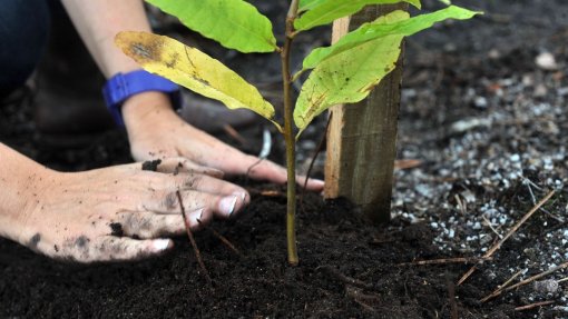 Miranda do Douro investe um milhão de euros na criação de um Pulmão Verde na cidade