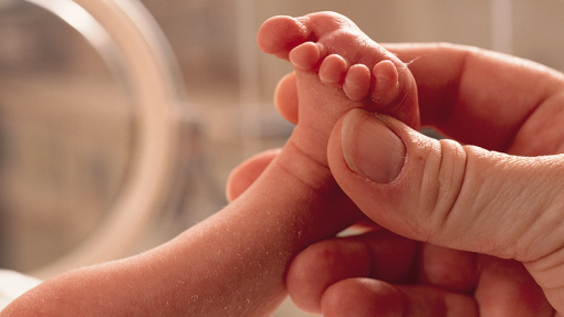 OMS recomenda o contacto “imediato” entre bebés prematuros e cuidadores