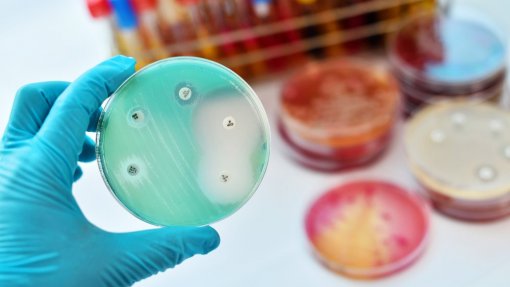 Mais de 35 mil mortes por ano na Europa por resistência antimicrobiana - relatório