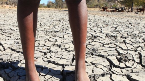 Dificuldades persistem para alimentar zonas de guerra, ciclones e secas em Moçambique