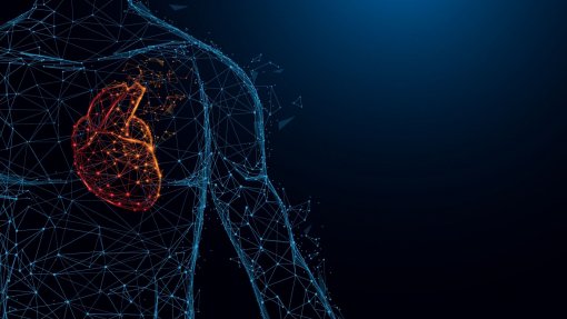 Inteligência artificial ajuda a prever doentes de risco após cirurgia a artéria carótida