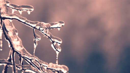 DGS divulga conselhos para população se proteger dos efeitos negativos do frio