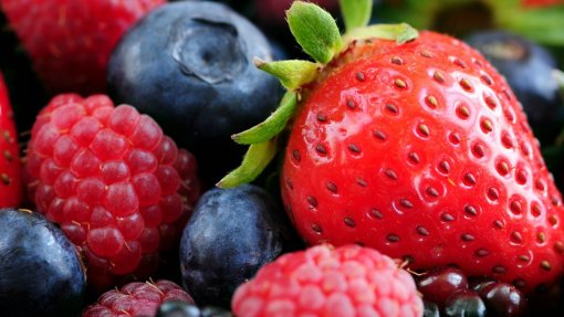 Politécnico da Guarda cria bebida de frutos vermelhos para prevenir diabetes e inflamações