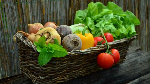 Associação vegetariana contesta Deco e diz que dieta vegana é a mais barata