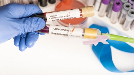 Covid-19: Centro Europeu retira subvariantes da Ómicron da lista de variantes de preocupação
