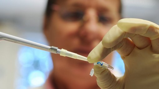 Casos de infeção por fungo super-resistente estão a aumentar nos Estados Unidos