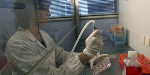 Poupança conseguida este ano com genéricos já ultrapassa os 111 M€