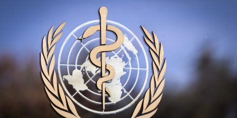 OMS deteta mais oito casos de Marburg na Guiné Equatorial e alerta para transmissão mais ampla do vírus