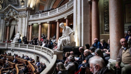 Parlamento recomenda ao Governo que crie estratégia nacional para a endometriose