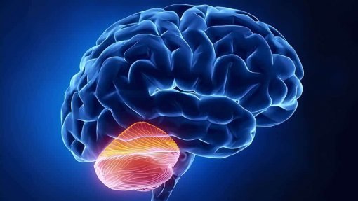 Estudo com idosos revela que a estimulação do cerebelo melhora a memória
