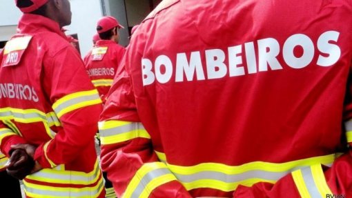 Incêndios: Quatro bombeiros com ferimentos ligeiros após despiste em Albergaria