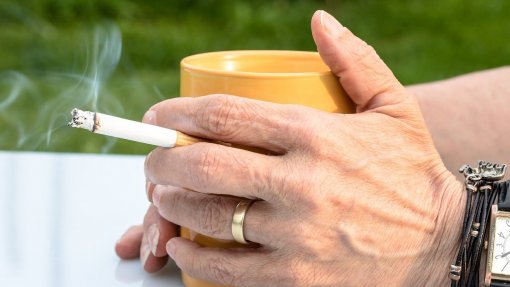 Secretária de Estado diz em Genebra que alterações à lei do tabaco foram recebidas com resistência