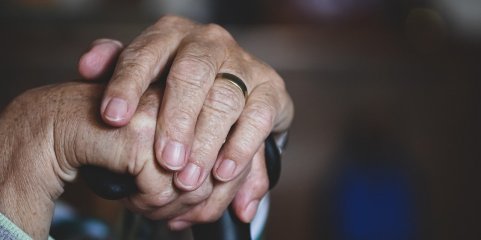 Hospital da SCML ainda não recebe `internamentos sociais´ anunciados para abril