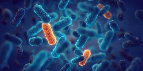 Prémio Princesa das Astúrias para cientistas que contribuíram para tratar bactérias resistentes