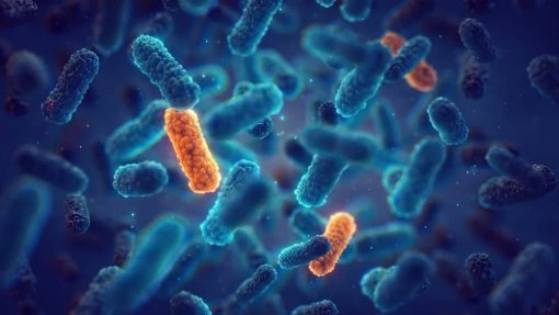 Prémio Princesa das Astúrias para cientistas que contribuíram para tratar bactérias resistentes