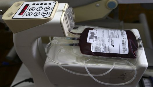 Federação pede que dadores de sangue voltem a ter direito a dispensa laboral