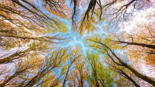 Maioria das empresas sem divulgar informação ambiental suficiente