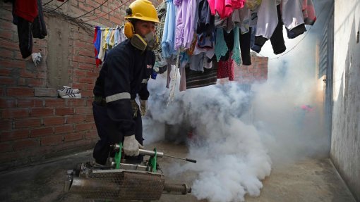 Mais de 30 crianças mortas e quase 46 mil infetados em surto de dengue no Peru - ONG