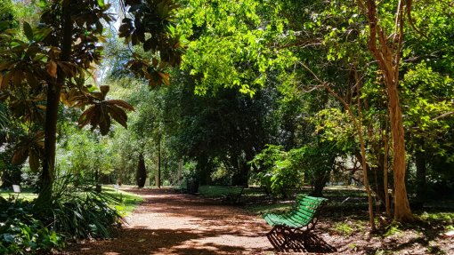 Maior acesso a zonas verdes em zonas residenciais pode retardar o envelhecimento - Estudo