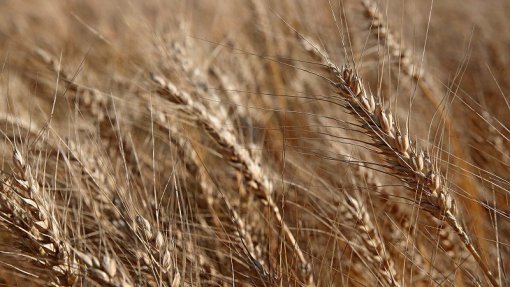 Ucrânia: ONU acusa Rússia de por em risco segurança alimentar no mundo