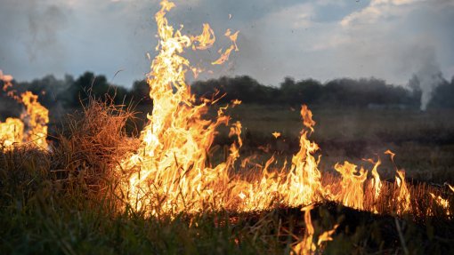 Proteção civil pede se evitem estradas onde fogo lavrou em Cascais