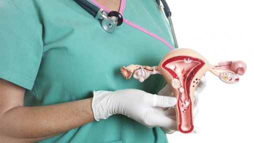 Estudos sugerem que cancro do endométrio pode ser detetado numa amostra de urina