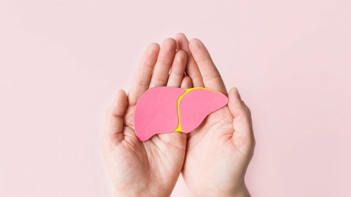Relatório das hepatites homenageia organizações com projeto dos microeliminadores