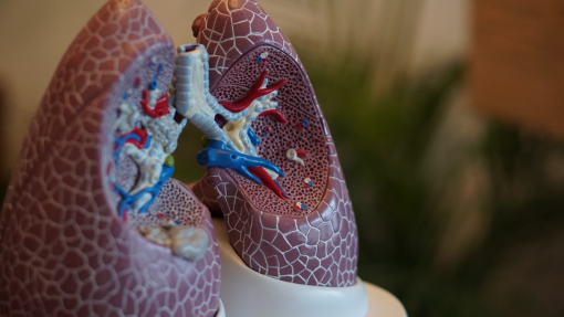 Sociedade de Pneumologia defende diagnóstico precoce e rastreio ao cancro do pulmão