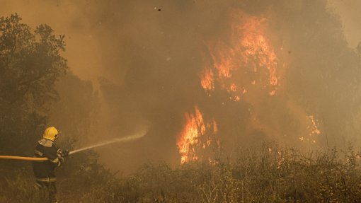 Interior Norte e Centro e região do Algarve em perigo máximo de incêndio