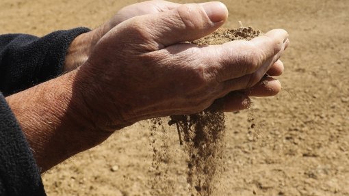 Produção de cereais no Baixo Alentejo teve “dos piores anos de sempre” devido à seca