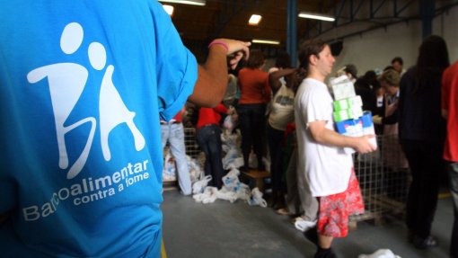 Banco Alimentar estima que cerca de 15% dos alimentos recolhidos na JMJ sigam para compostagem