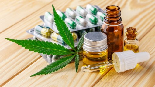 Alemanha aprova projeto para legalizar consumo recreativo de canábis
