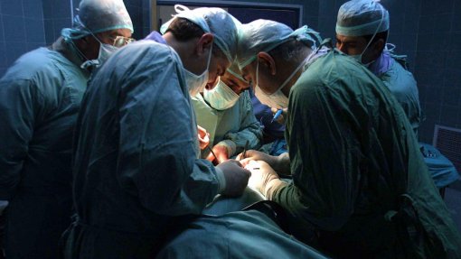 Rim de porco continua a funcionar em humano mais de um mês depois do transplante