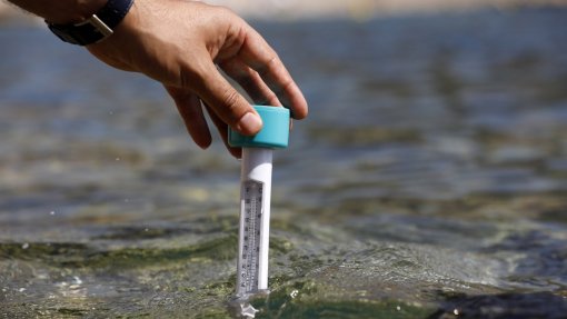 Calor no Atlântico Norte pode por em perigo populações de peixes importantes para a pesca