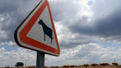 Portugal é o país da Europa em que alterações climáticas têm maior impacto