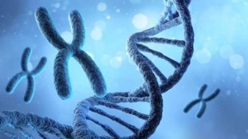 Cientistas descodificam na totalidade cromossoma masculino