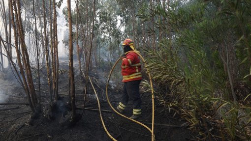 Quatrocentos bombeiros fazem o rescaldo do incêndio em Nelas