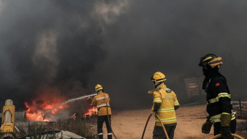 Câmara de Ourém diz que 60% dos incêndios são de origem criminosa