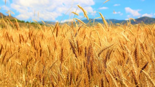 UE e Portugal financiam projeto que transforma a vida de agricultores são-tomenses