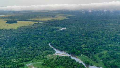 Reconciliar produção alimentar e conservação da floresta é desafio na bacia do Congo
