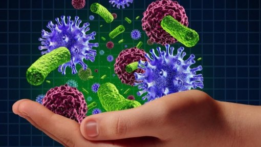 Estudo da FMUP mostra que pessoas com doenças autoimunes têm receio de vacinas