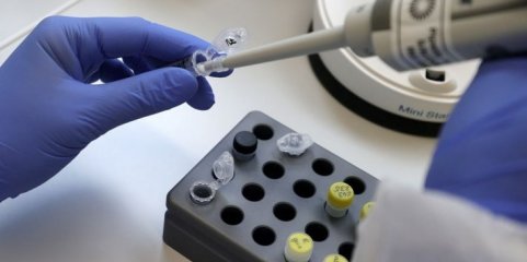 Investigadores analisam perceção de melhoria de performance por toma de mentol