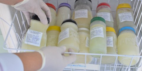 Banco de Leite Humano do Norte alimentou 55 bebés prematuros em um ano