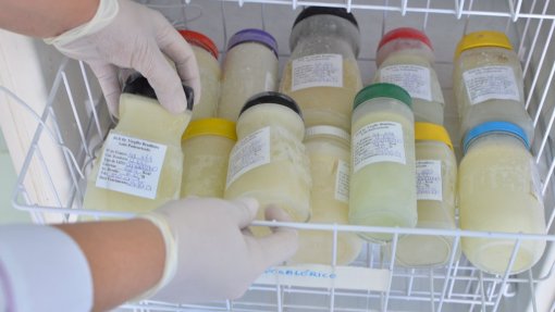Banco de Leite Humano do Norte alimentou 55 bebés prematuros em um ano