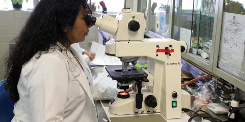Portugal tem falta de 40% de Técnicos de Saúde Ambiental, alerta sindicato