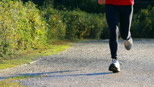 SANTO TIRSO: Diabéticos do tipo 2 estimulados para o exercício físico