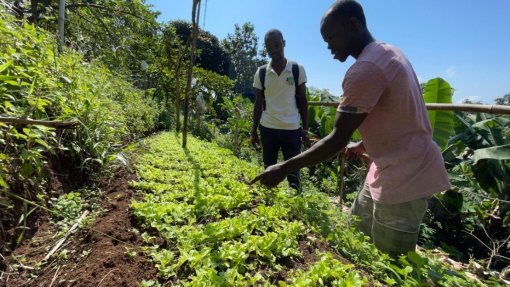 Governo são-tomense intensifica transição para agricultura 100% biológica