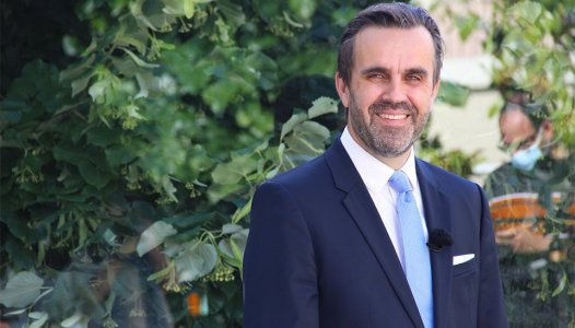 Bastonário quer bom senso do Governo para resolver falta de médicos nos hospitais