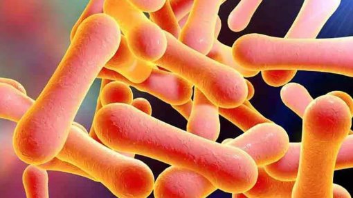 Difteria mata mais de 600 pessoas na Nigéria durante o mais recente surto