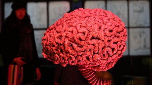 Cientistas criam ‘atlas’ de células cerebrais que permite desenvolver tratamentos e curas